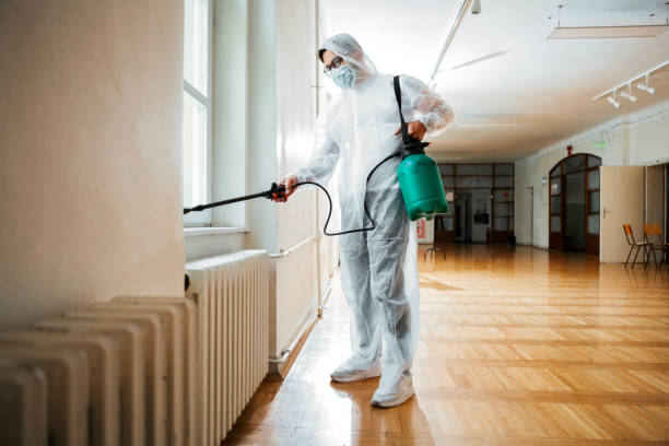 Pest Control for Hotels in Woodfin, NC